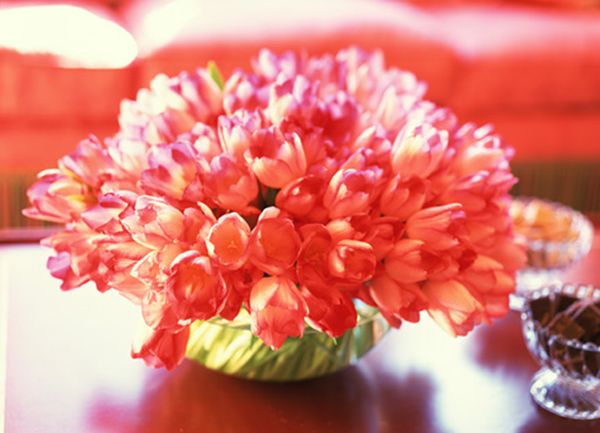 ФОТО_01